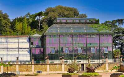 5. Arrondissement Paris